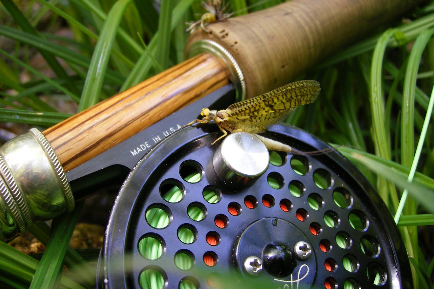 Wild Trout and the Greendrake Hatch