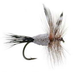 Irresistible Dry Fly