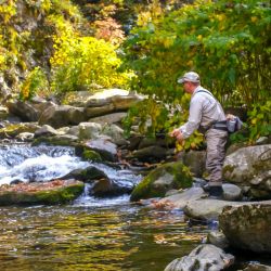 Fly Fishing NC Mountains